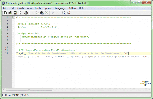 script-autoit-teamviewer-1