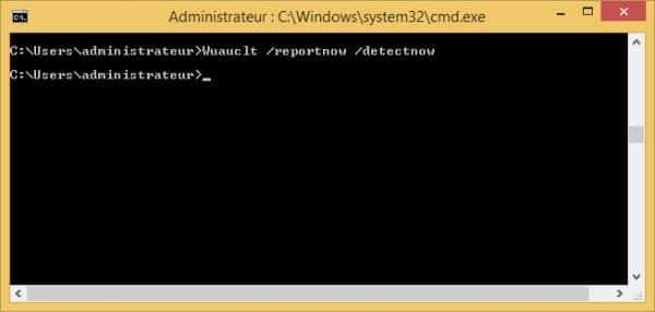 wuauclt-reportnow-detectnow