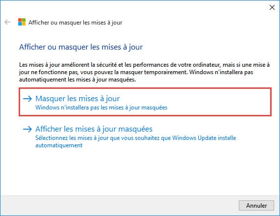 windows-10-Afficher-masquer-update01